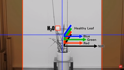 csm_Blog-Video_Spectral-Sensitivity_4a406ee39d.png